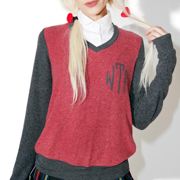 Wildfox Sweaters - Wildfox WTF Rare Soldout Soft Baggy Sweatshirt